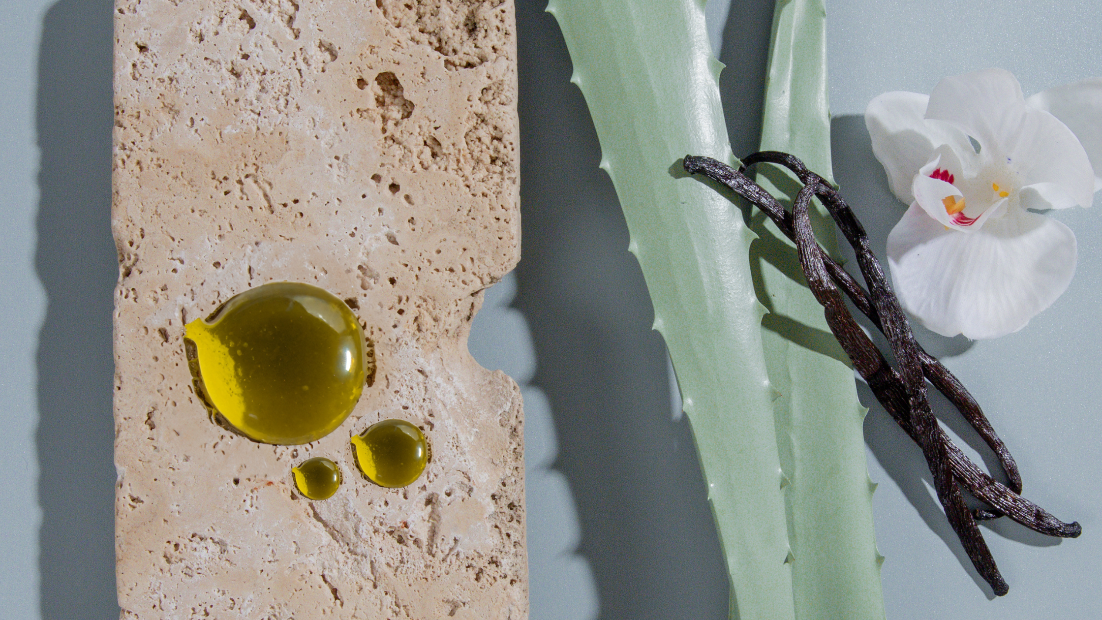 Ingredient Spotlight: Virgin Mongongo Oil