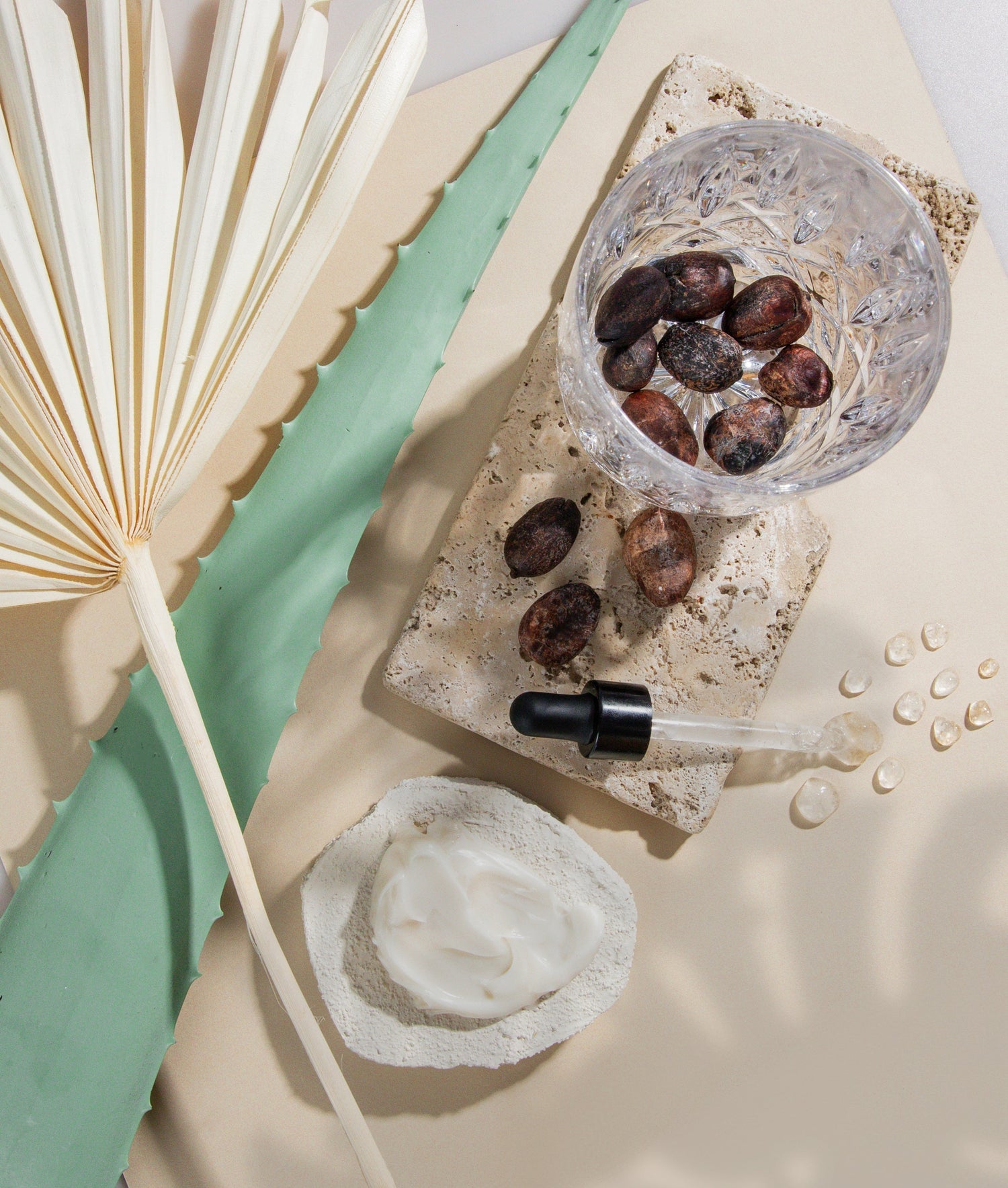 Colloidal Oats, Shea Butter, and Aloe Vera: The Science-Backed Hydration Complex for Dry, Sensitive Skin